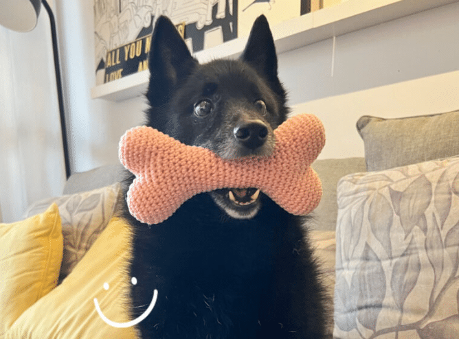 Osso Amigurumi Para Seu Doguinho!
