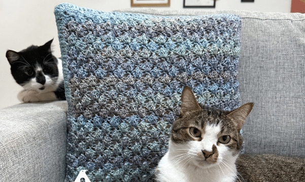 Capa para almofada de crochê – Decor feito à mão com fio PIXEL