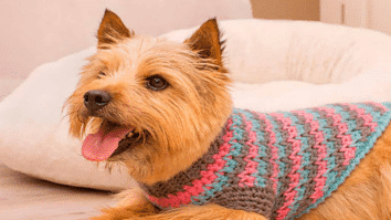 Suéter caninho em crochê