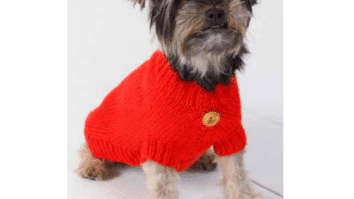 Suéter de tricô para cachorro
