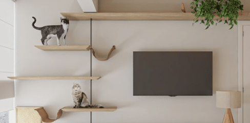 Deixe seu Apartamento ideal para Seu Pet com Estas Dicas!