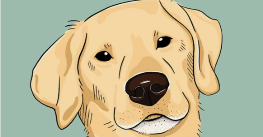 Desenhos de Cachorro para Colorir: Transforme-os em Arte