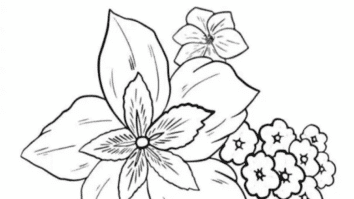 Desenhos para Colorir: Vários PNG Grátis, Confira!