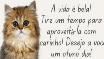 17 lindas Mensagens de Bom Dia para você!