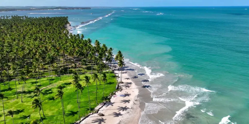 Encantos do Nordeste: As praias mais incríveis para conhecer no Brasil
