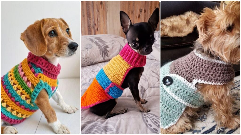 roupas de croche para pets